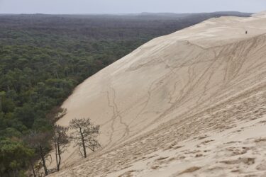 Pilat Dune And Forest In Arcachon Basin Aquitaine 2023 11 27 05 16 17 Utc