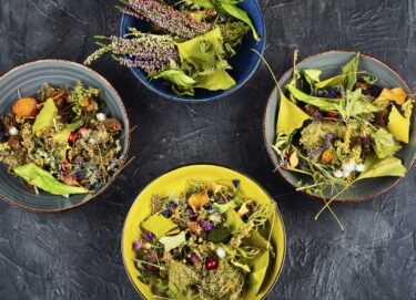 Recettes végétariennes
