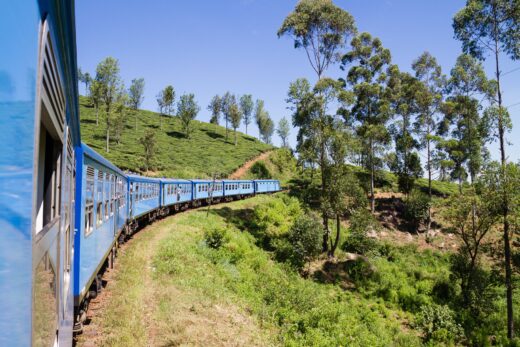 Voyage En Train